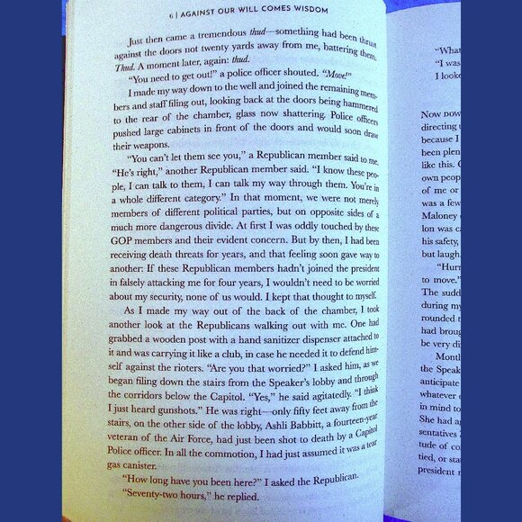 Book - Midnight in Washington: How We Almost Lost Our Democracy and Still Could - Picture 6 of 13